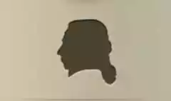 Wig