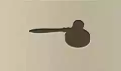 Gavel