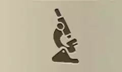 Microscope