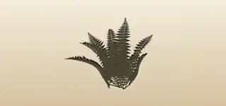 シダ植物のシルエット