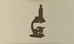 Microscope