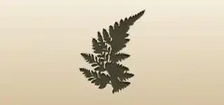 シダ植物のシルエット