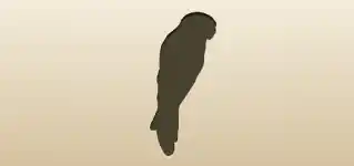 オウムのシルエット