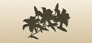 ユリのシルエット