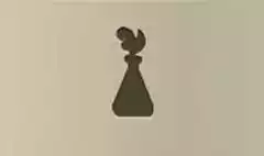 Glass Flask