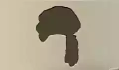 Wig