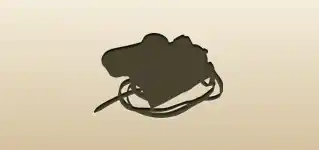 カメラのシルエット
