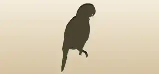 オウムのシルエット