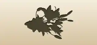 ユリのシルエット