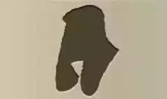 Wig