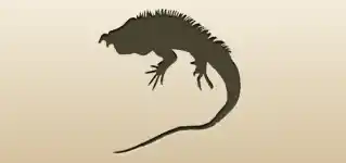 イグアナのシルエット