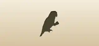 オウムのシルエット