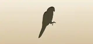 オウムのシルエット