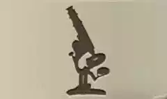 Microscope