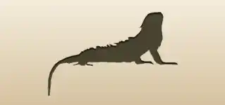 イグアナのシルエット
