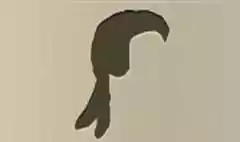 Wig