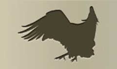 Vulture silhouette