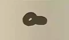 Doughnuts