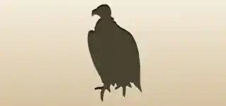 ハゲワシのシルエット