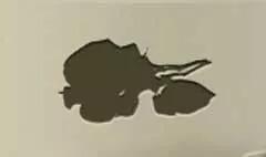 バラのシルエット