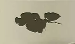 バラのシルエット