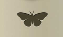 Butterfly silhouette