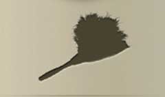Feather Duster silhouette