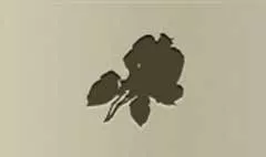 バラのシルエット