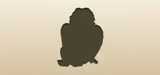 Angel silhouette