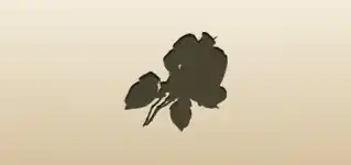Roses silhouette