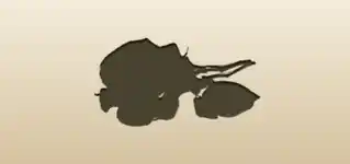 Roses silhouette