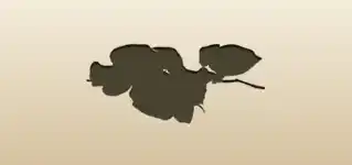 Roses silhouette