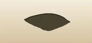 Cushion silhouette