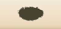 Feather Boa