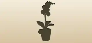 Houseplant silhouette