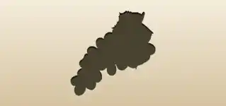 Grapes silhouette