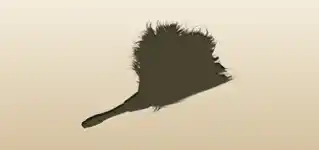 Feather Duster silhouette