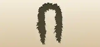 Feather Boa silhouette