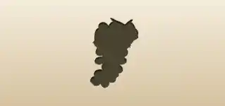 Grapes silhouette