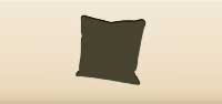 Cushion