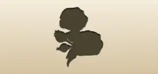 Roses silhouette