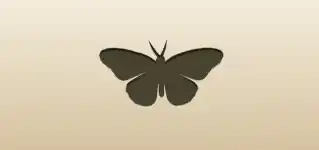 Butterfly silhouette