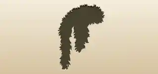 Feather Boa silhouette