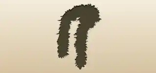 Feather Boa silhouette