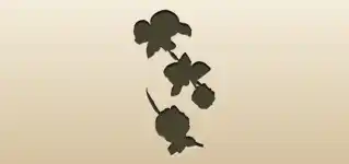 Roses silhouette