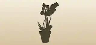 Houseplant silhouette