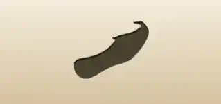 Shoe silhouette