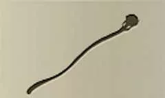 Staff