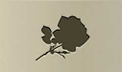 Rose silhouette