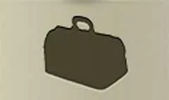Travel Bag
